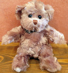 Teddy-Ludwig